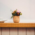 Septic Tank Inspection Costs: A Comprehensive Guide