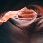 The Role of Ganoderma Lucidum Spore Powder in Detoxification