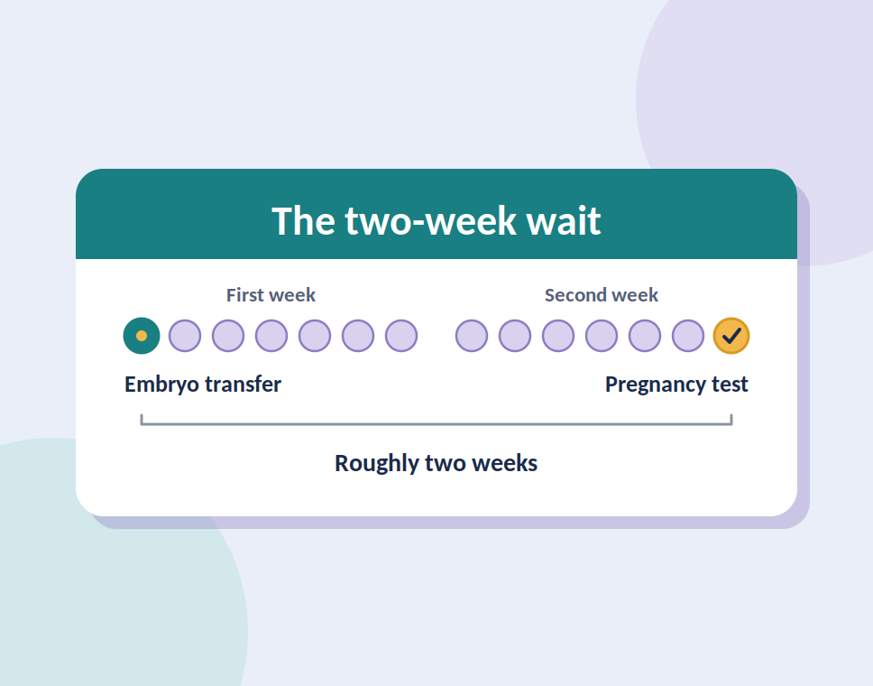 IVF Add-Ons: Which Ones Have Real Evidence Behind Them?